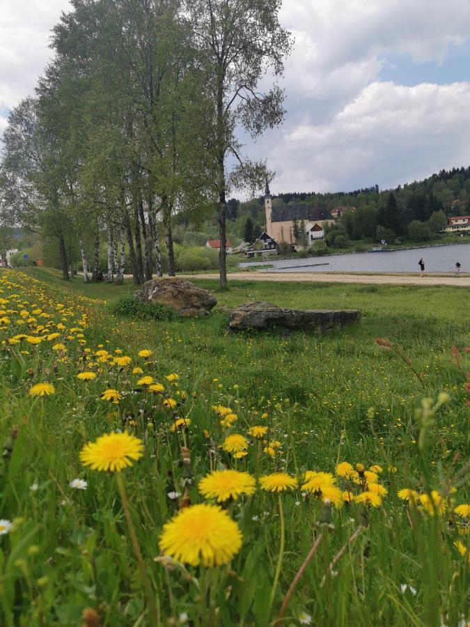 S Terasou A Vyhledem Na Jezero Lipno Kovarov (Cesky Krumlov)