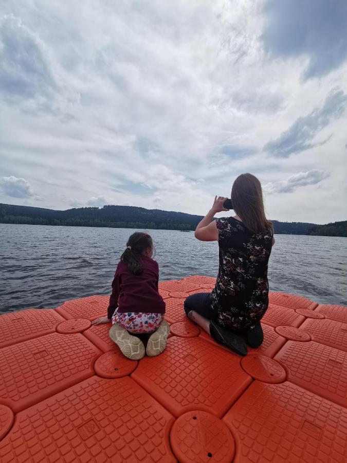 S Terasou A Vyhledem Na Jezero Lipno Apartament Kovarov (Cesky Krumlov)