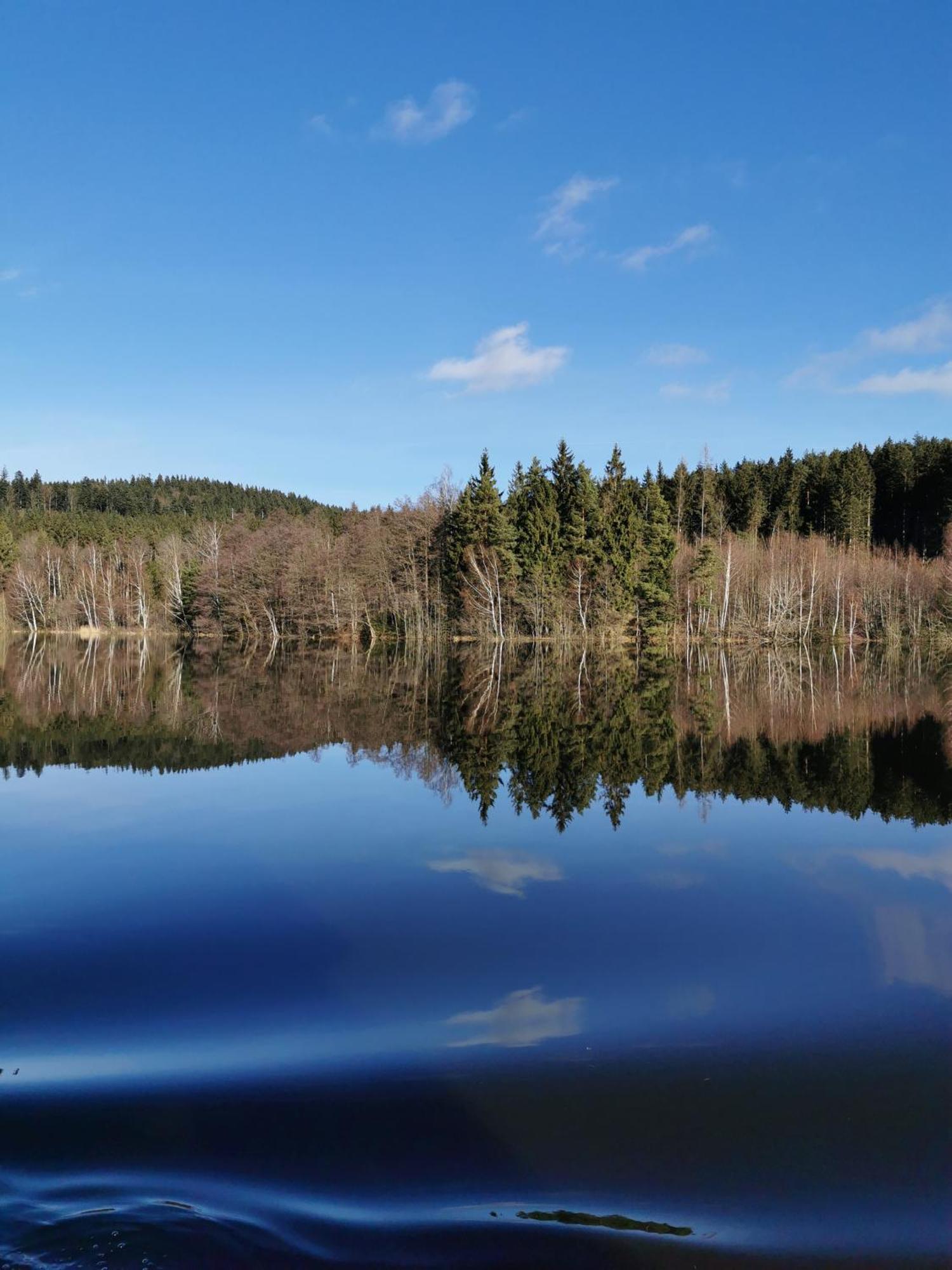 S Terasou A Vyhledem Na Jezero Lipno