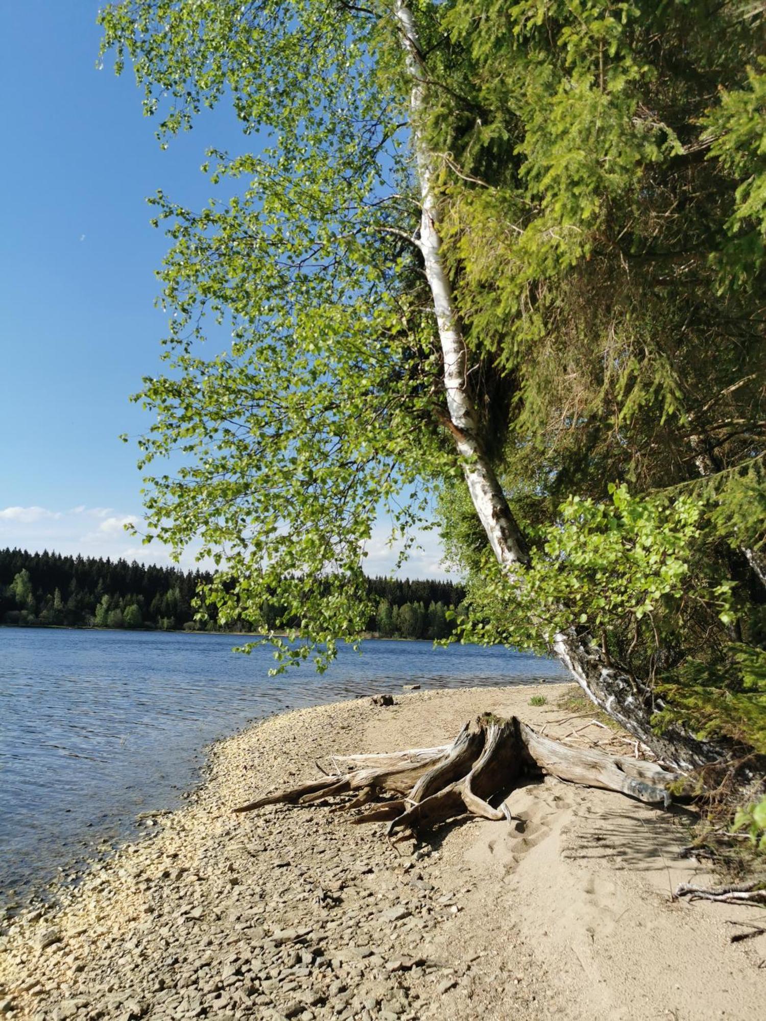 S Terasou A Vyhledem Na Jezero Lipno Apartament *